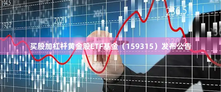 买股加杠杆黄金股ETF基金（159315）发布公告