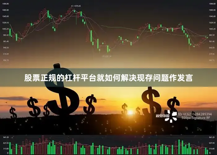 股票正规的杠杆平台就如何解决现存问题作发言
